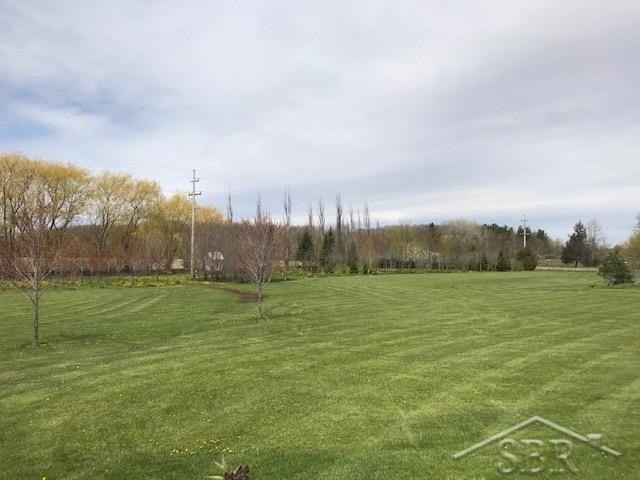 9533 Webster Road Freeland, MI 48623 - Photo 37 of 51