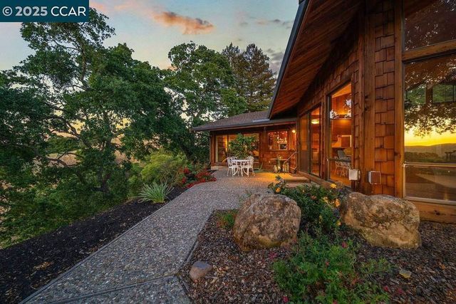 a view of a yard with plants and a large tree