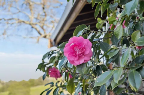 $4,995,000 | 575 Morecroft Road, Lafayette, CA 94549