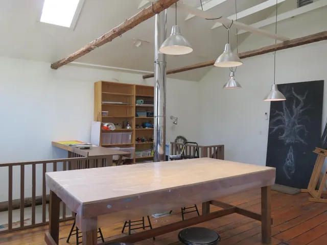 a view of a house with backyard and plants