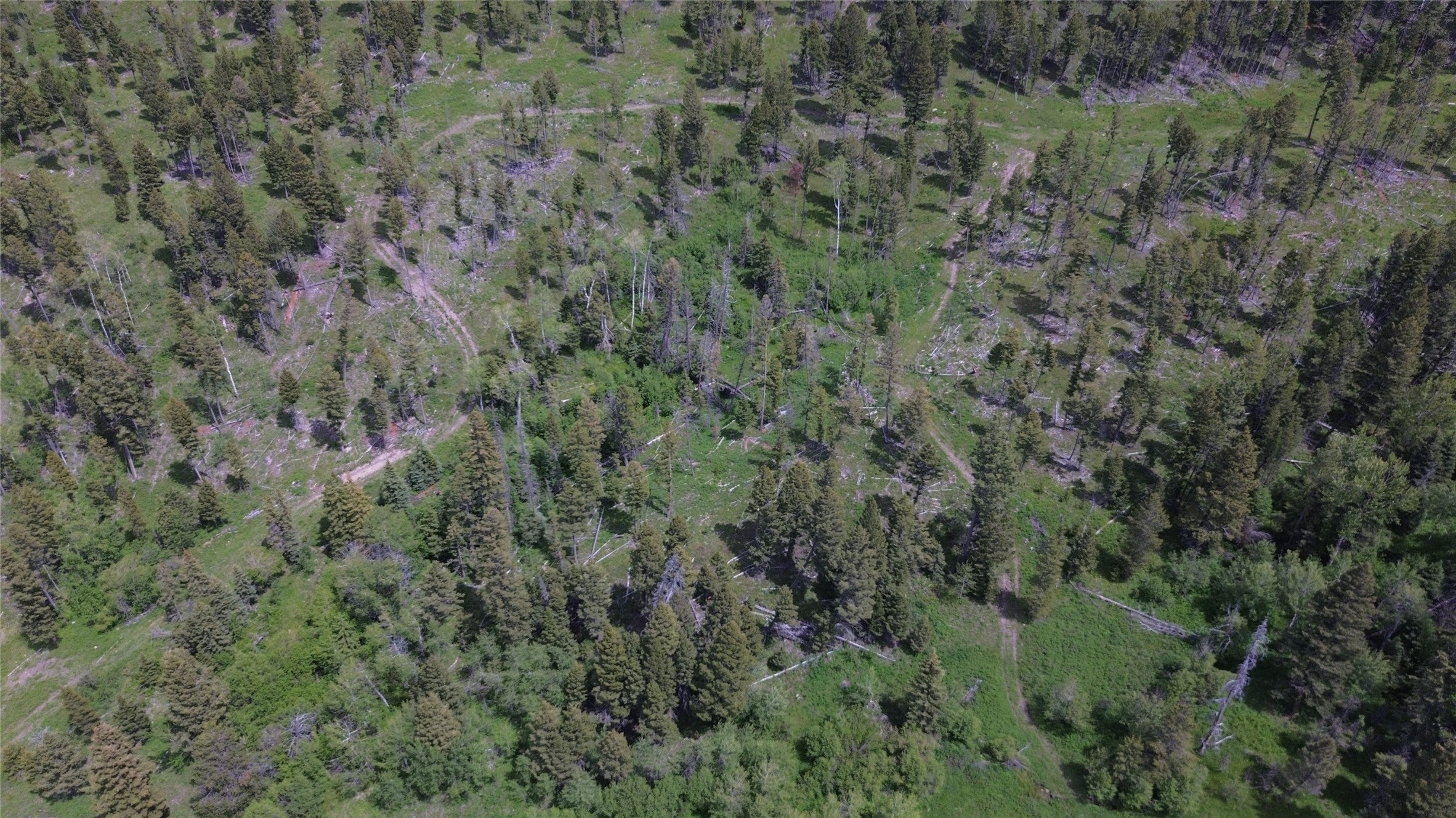 3595 Bear Gulch Road Lincoln, MT 59639 - Photo 51 of 57 Gallery Image 51