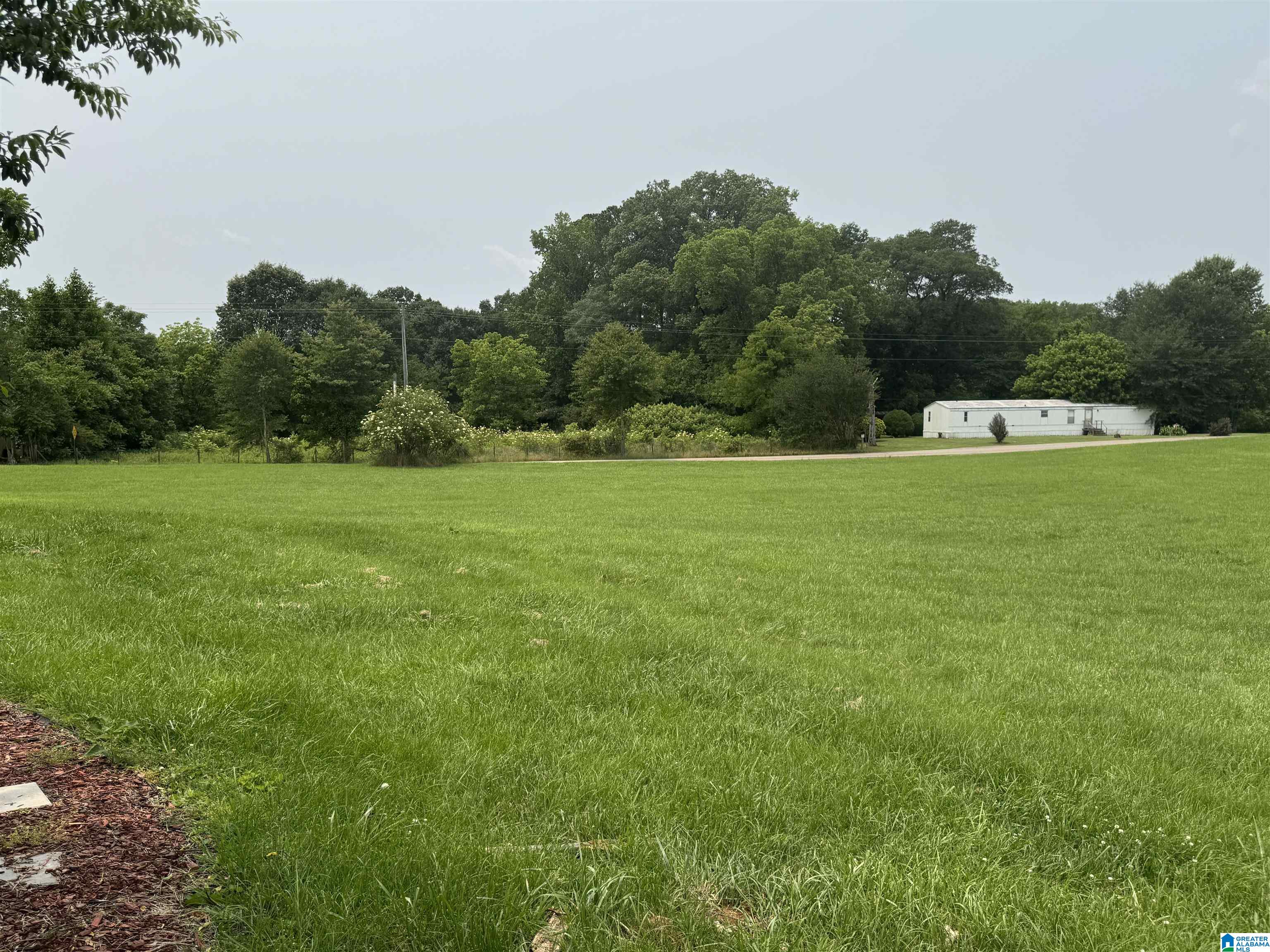 810 Riddle Farm Road Anniston, AL 36207 - Photo 33 of 34