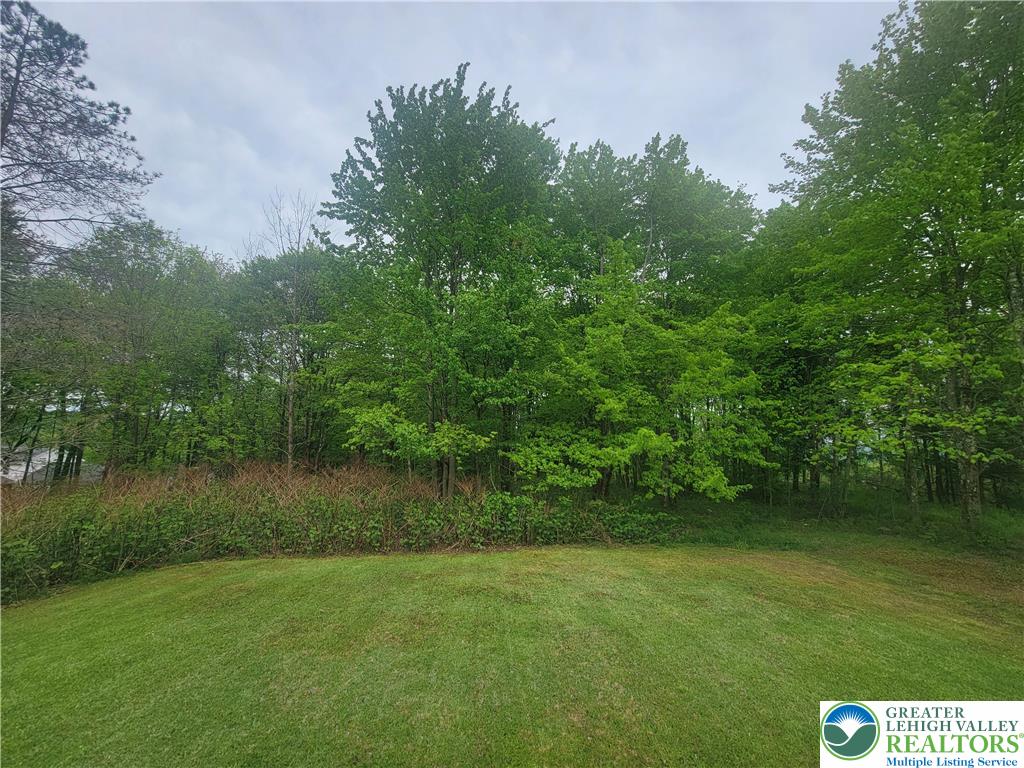 320 Hillside Street Forest City, PA 18421 - Photo 21 of 24 A verdant lawn meets a border of mature trees, offering privacy and natural beauty.
