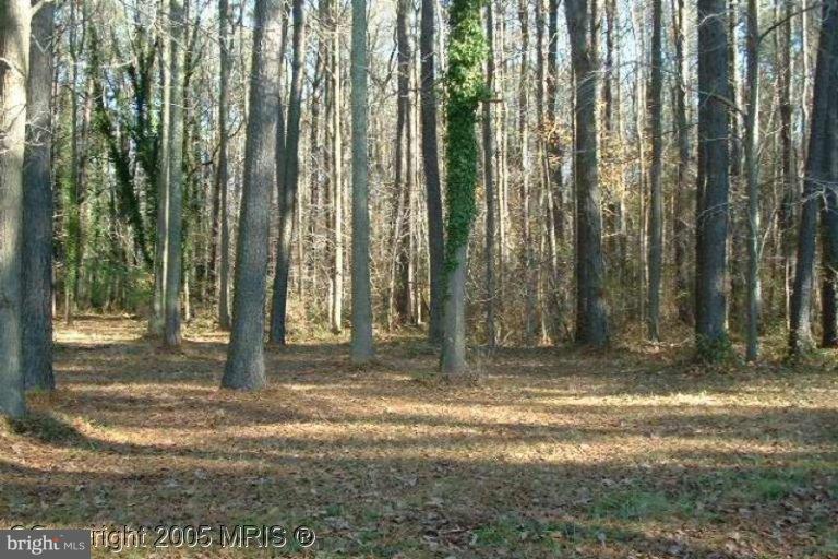 23330 Neck Road Aquasco, MD 20608 - Photo 1 of 10 Exterior (Main)