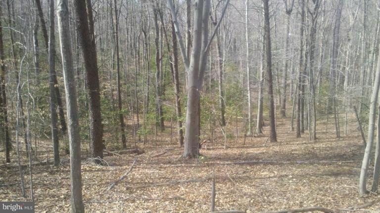 23330 Neck Road Aquasco, MD 20608 - Photo 2 of 10 Nicely wooded with mature hardwoods and evergreens