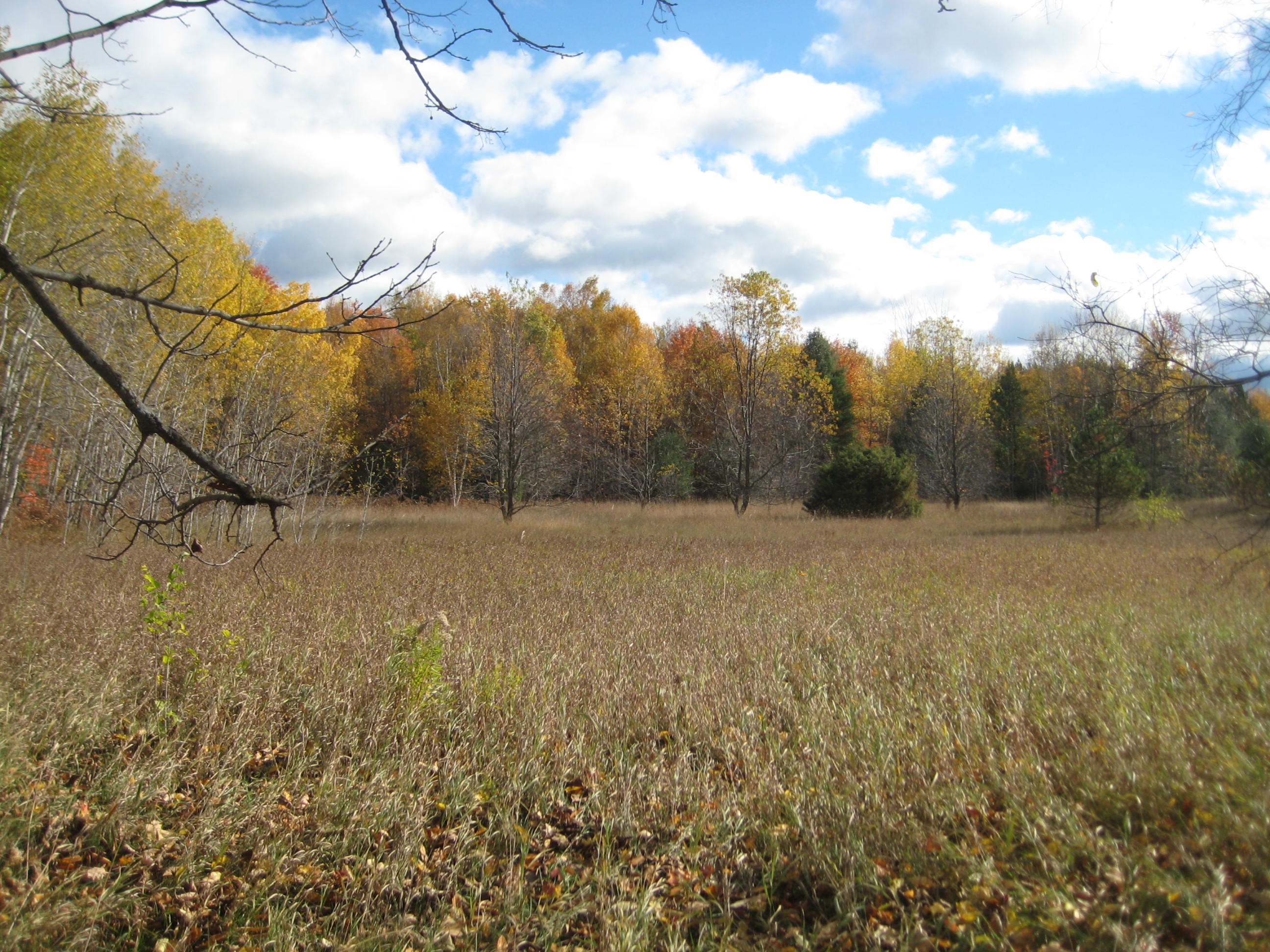 Barney Road Alanson, MI 49706 - Photo 7 of 13 Gallery Image 7
