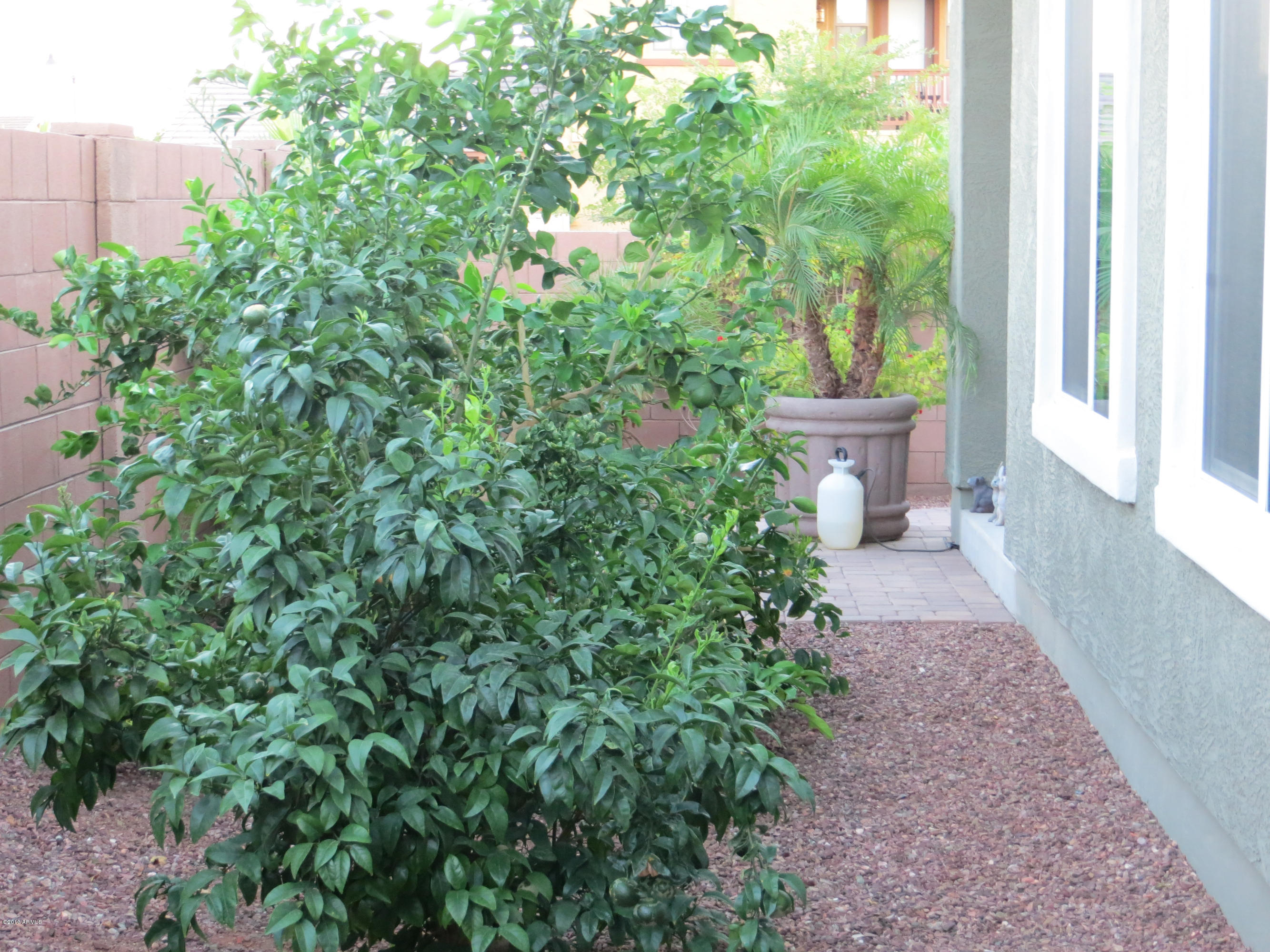 20625 West Ridge Road Buckeye, AZ 85396 - Photo 68 of 79 IMG_2033