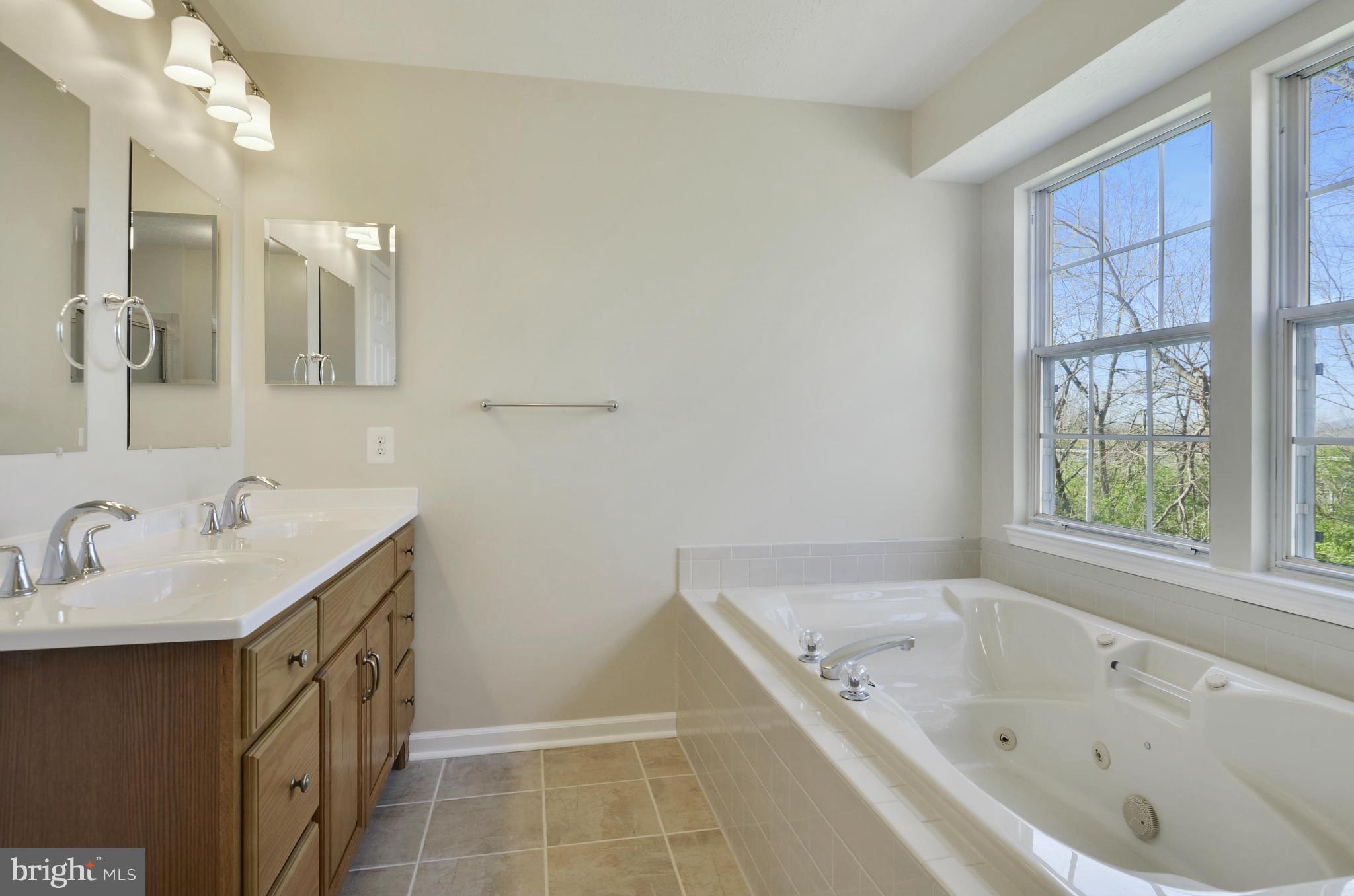 733 Monarch Ridge Road Frederick, MD 21703 - Photo 11 of 13 Bath (Master)