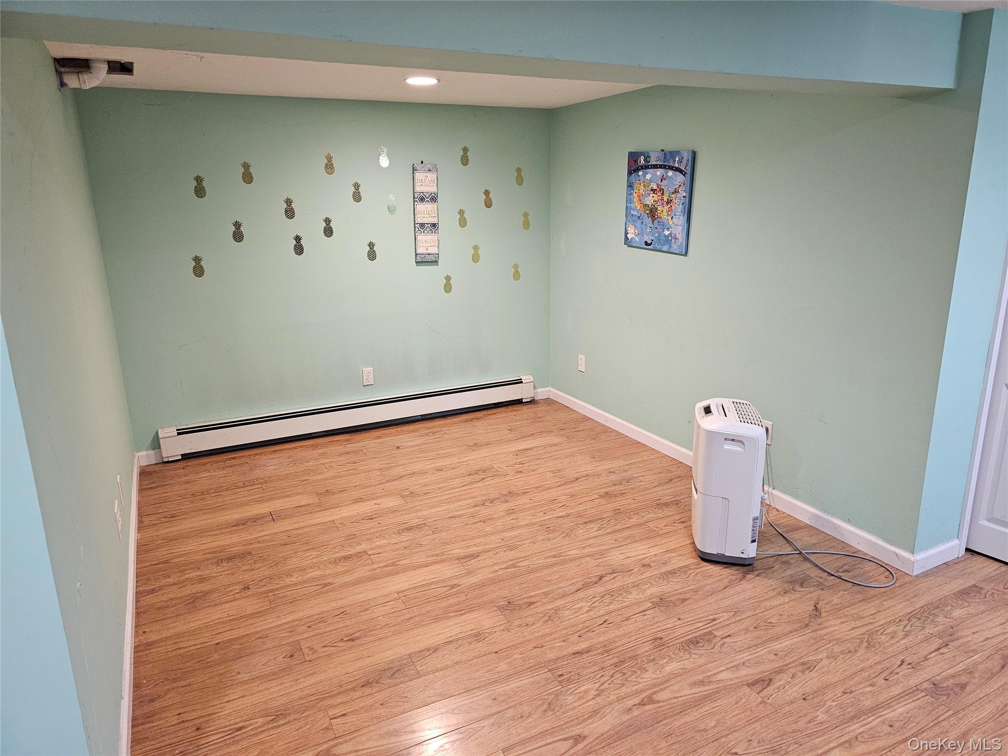 10 Tiger Road Hopewell Junction, NY 12533 - Photo 13 of 17 pretty finished basement