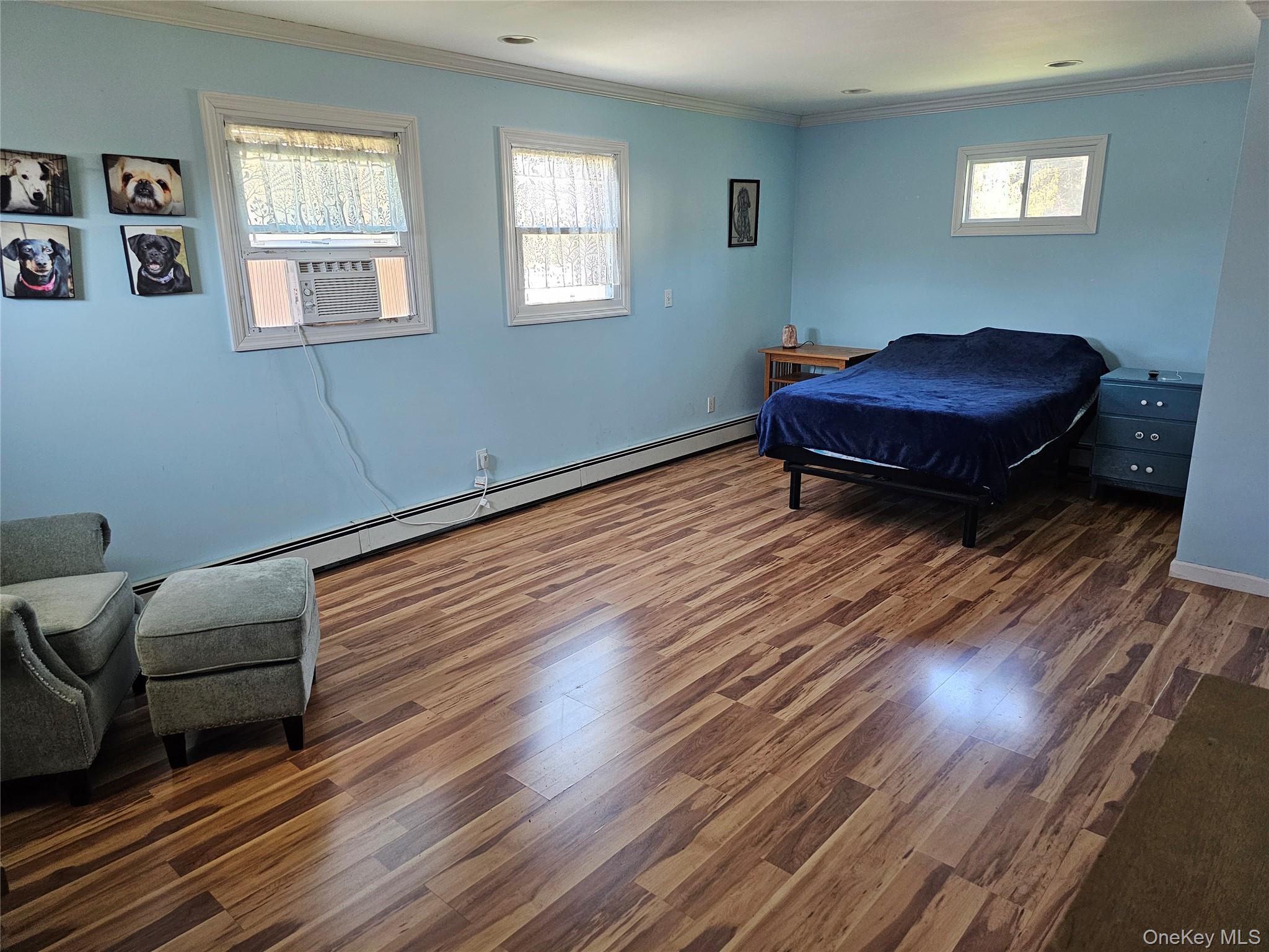 10 Tiger Road Hopewell Junction, NY 12533 - Photo 9 of 17 Spacious primary bedroom suite