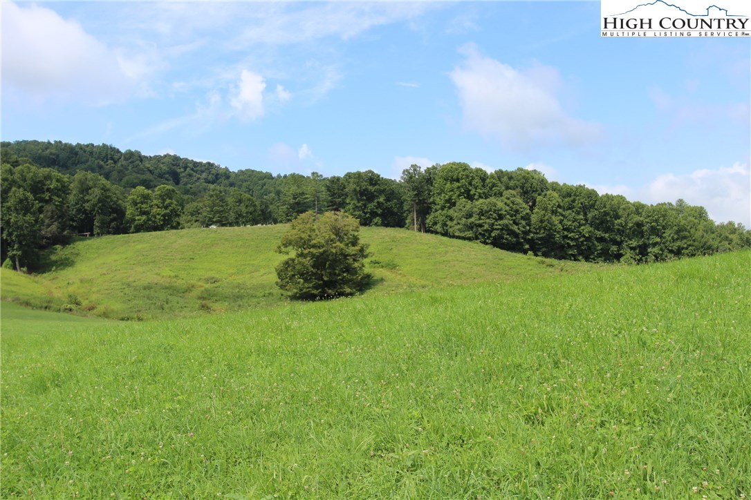 Phillips Branch Road Vilas, NC 28692 - Photo 10 of 17 Gallery Image 10