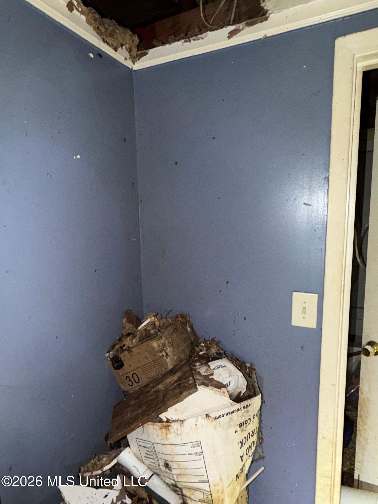 118 Canterbury Road Brandon, MS 39042 - Photo 47 of 60 47-May 19, 2026 13-10-50-Nf9r