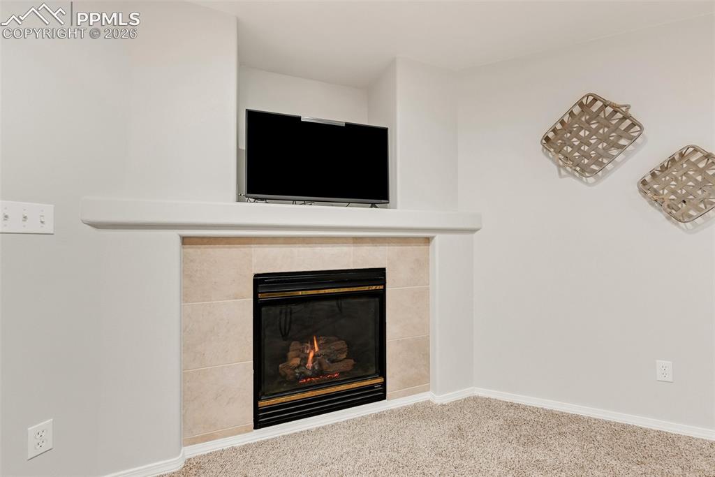 10467 Pictured Rocks Drive Peyton, CO 80831 - Photo 33 of 42 2nd Cozy Gas Fireplace in Basement