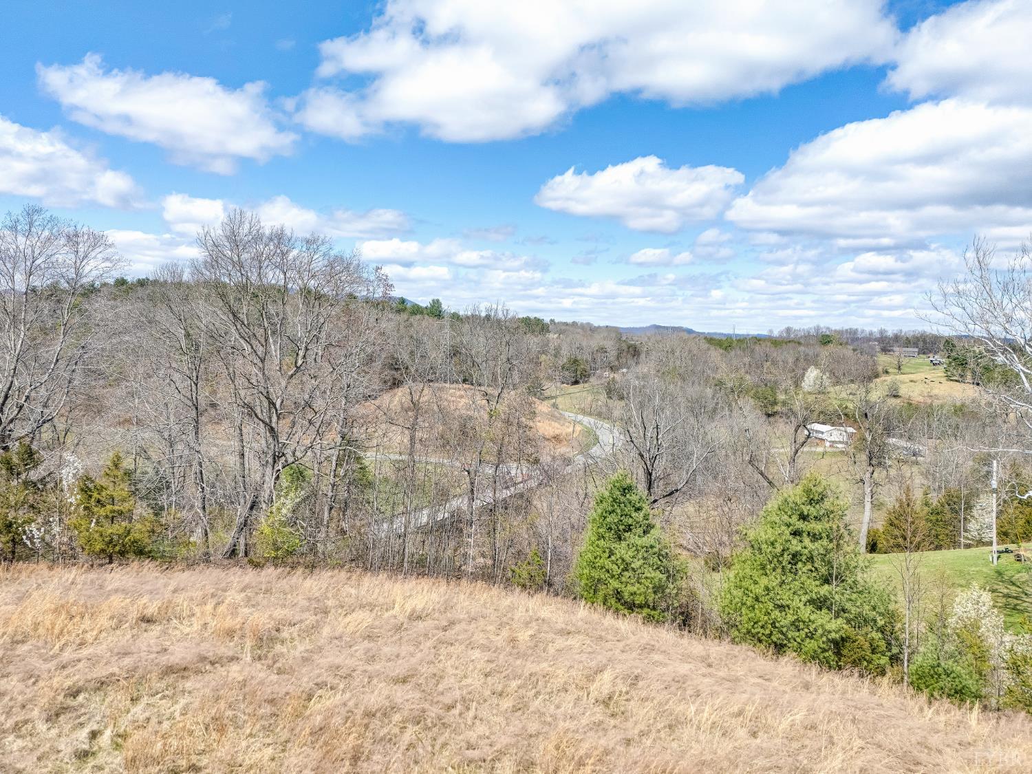 0 Springhouse Lane Rocky Mount, VA 24151 - Photo 11 of 14 a view of a yard