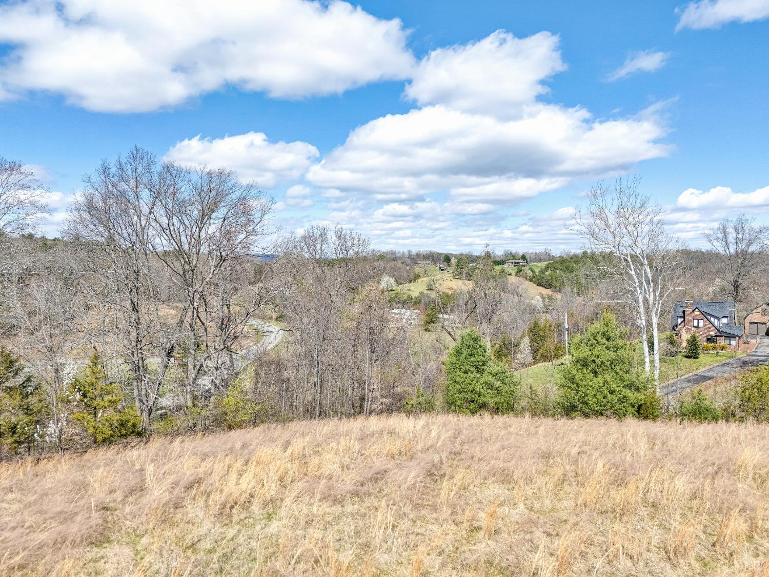 0 Springhouse Lane Rocky Mount, VA 24151 - Photo 12 of 14 a view of a yard with wooden fence