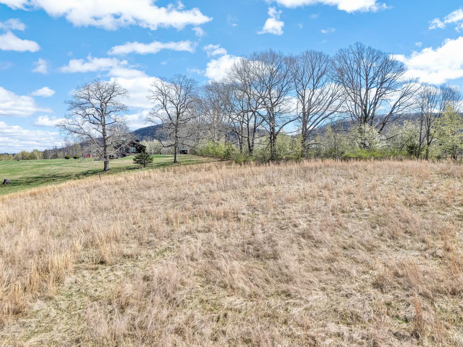 0 Springhouse Lane Rocky Mount, VA 24151 - Photo 13 of 14 a backyard of a house with lots of green space