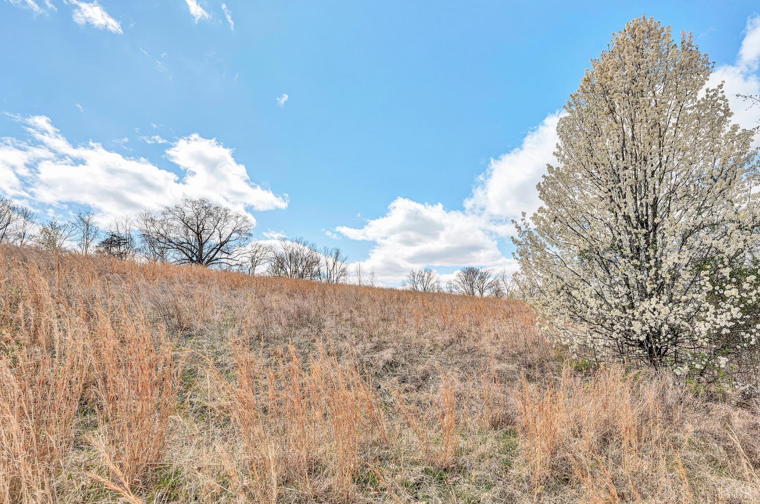 0 Springhouse Lane Rocky Mount, VA 24151 - Photo 8 of 14 a view of a dry yard