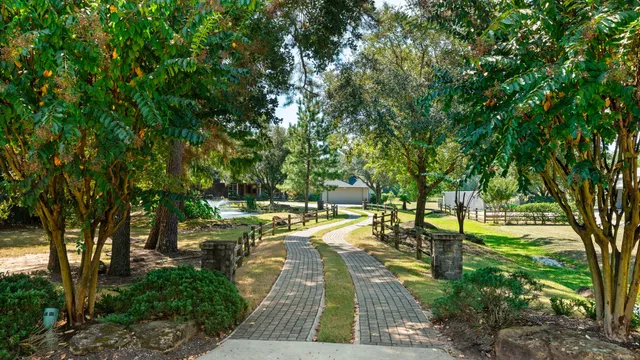 a view of swimming pool with lawn chairs and large trees