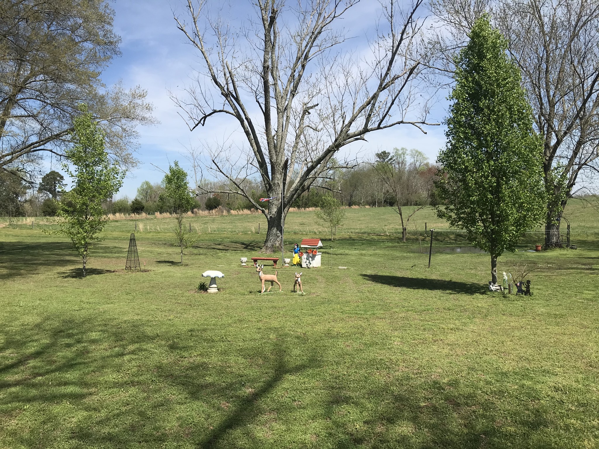 572 Rabbit Trail Road Leoma, TN 38468 - Photo 9 of 24 a view of a park