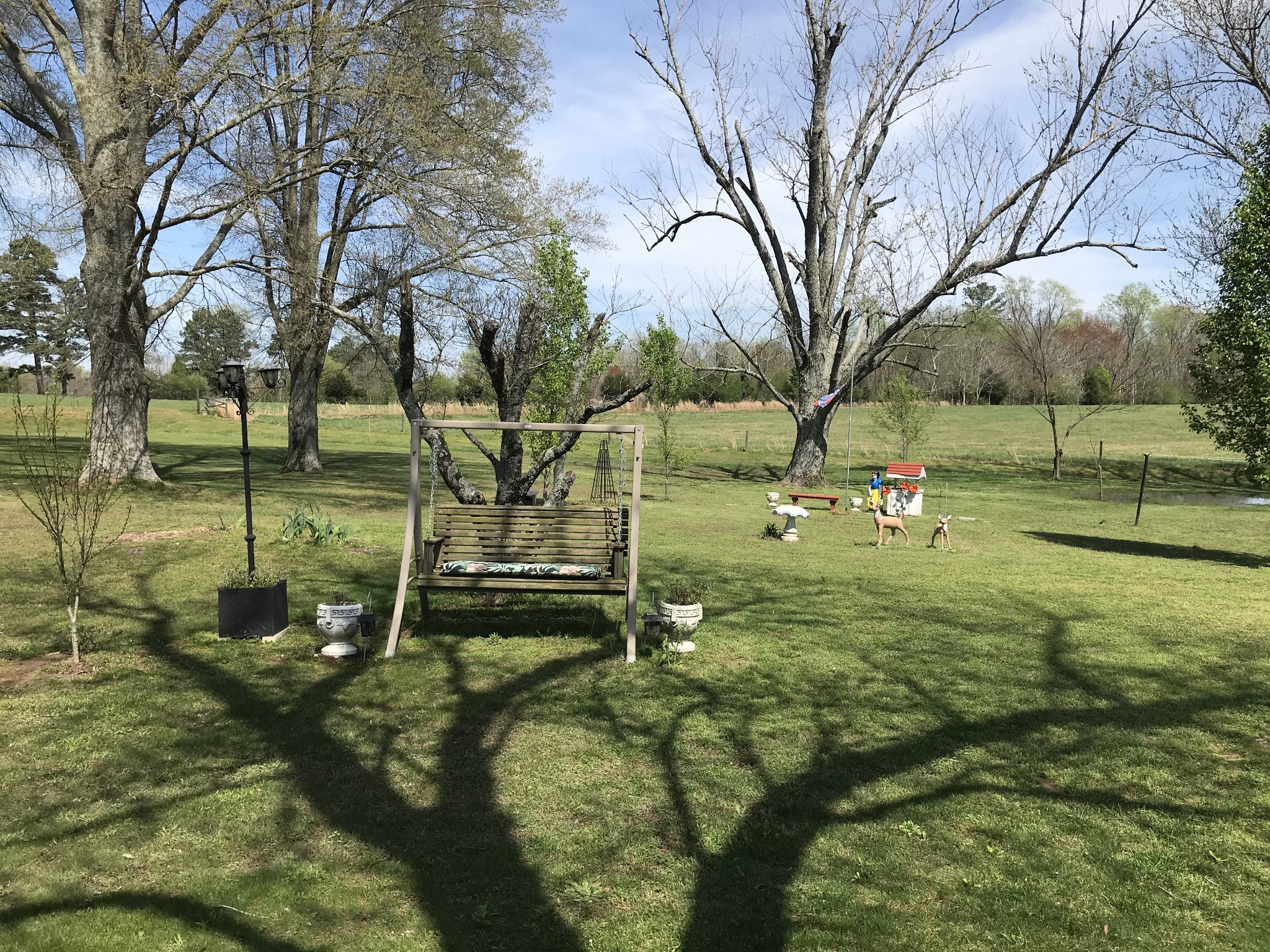 572 Rabbit Trail Road Leoma, TN 38468 - Photo 10 of 24 a view of outdoor space