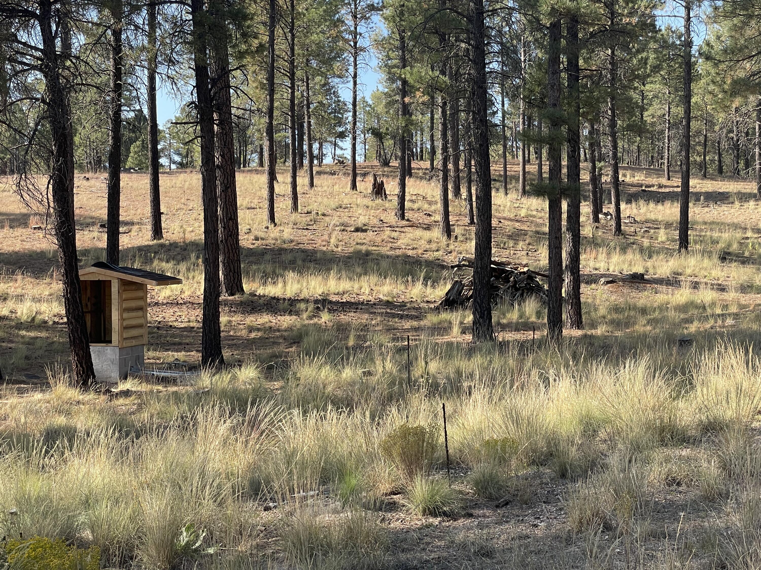 7337 Forest Service 122 Road Happy Jack, AZ 86024 - Photo 18 of 33