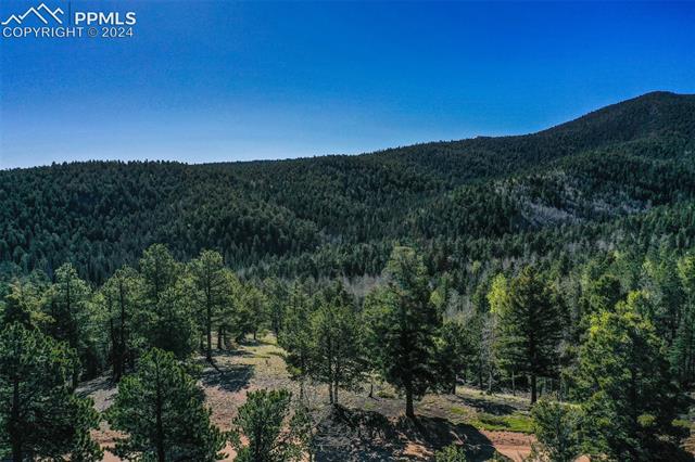 1100 Elk Ridge South Divide, CO 80814 - Photo 32 of 34