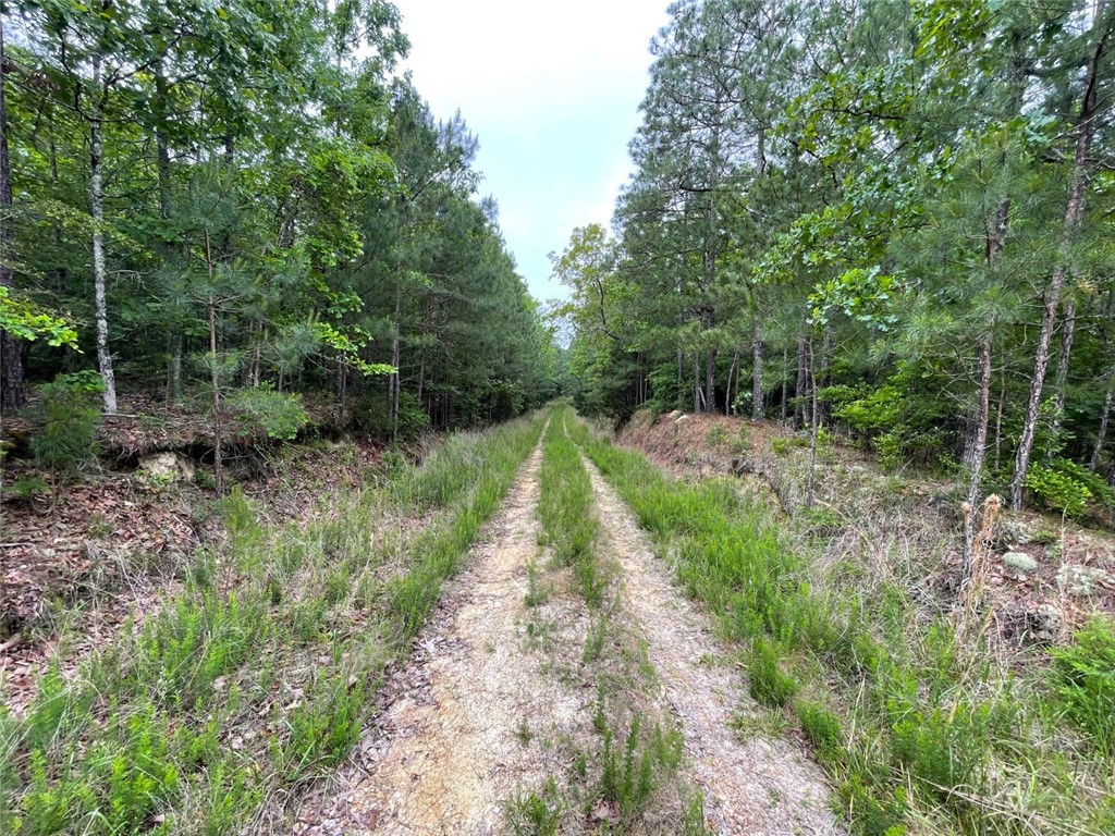 0 Bell Road Troy, SC 29848 - Photo 1 of 26
