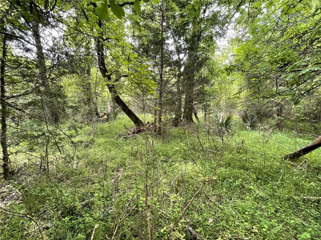 0 Bell Road Troy, SC 29848 - Photo 13 of 26