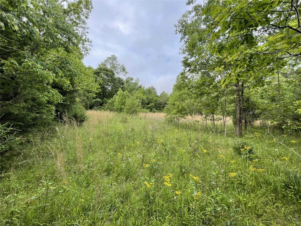 0 Bell Road Troy, SC 29848 - Photo 14 of 26