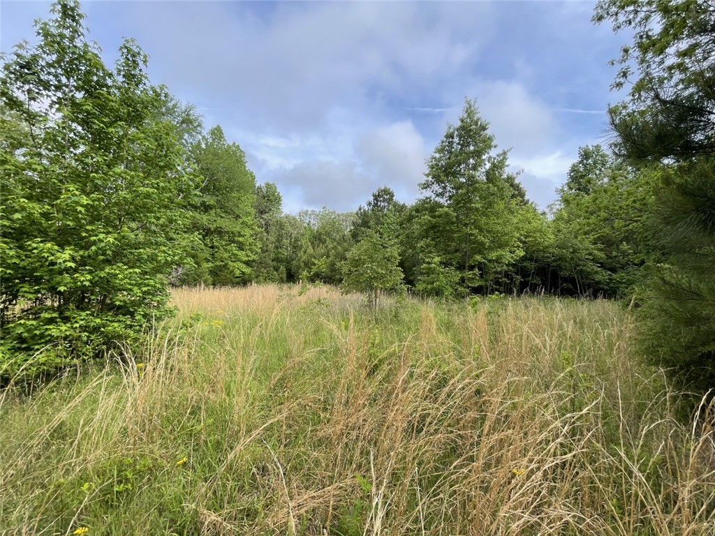 0 Bell Road Troy, SC 29848 - Photo 17 of 26