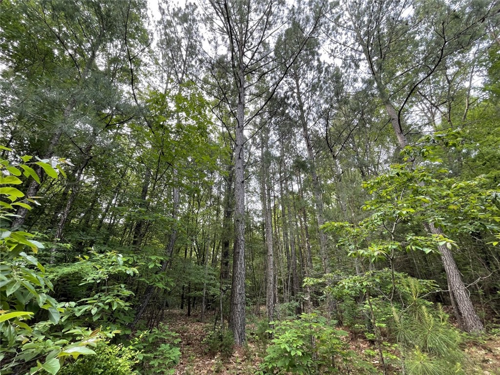 0 Bell Road Troy, SC 29848 - Photo 19 of 26
