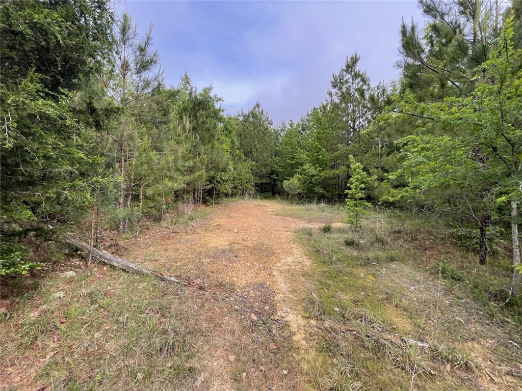 0 Bell Road Troy, SC 29848 - Photo 2 of 26