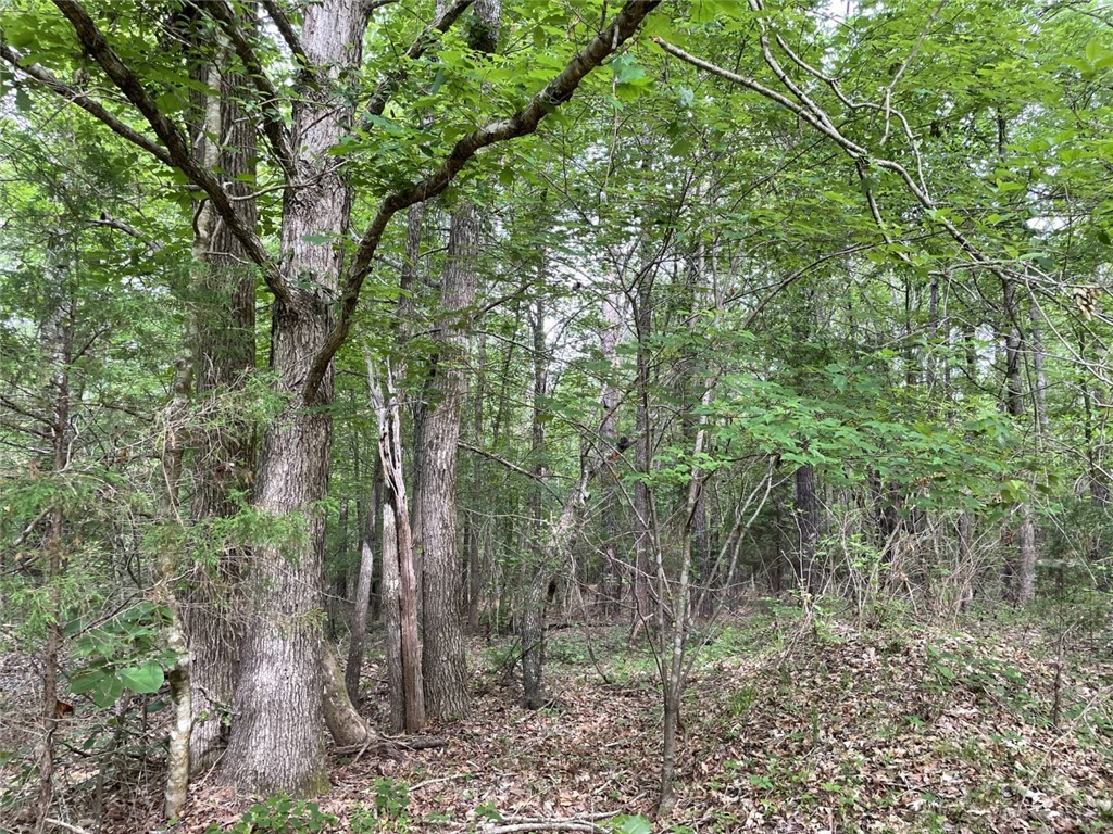 0 Bell Road Troy, SC 29848 - Photo 21 of 26
