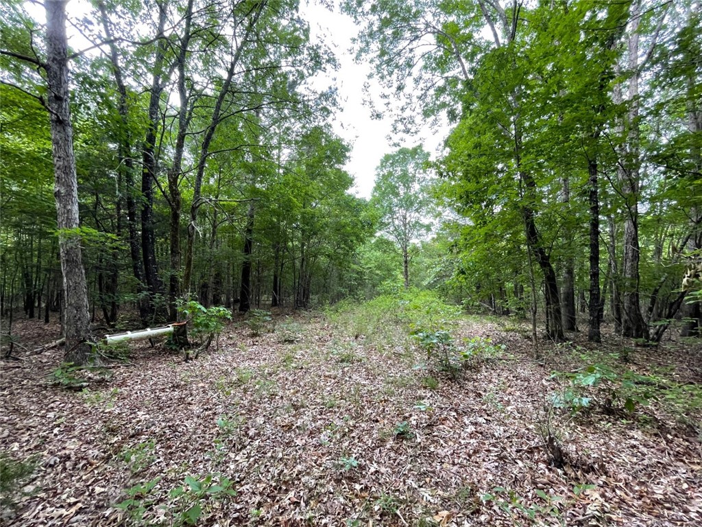 0 Bell Road Troy, SC 29848 - Photo 22 of 26