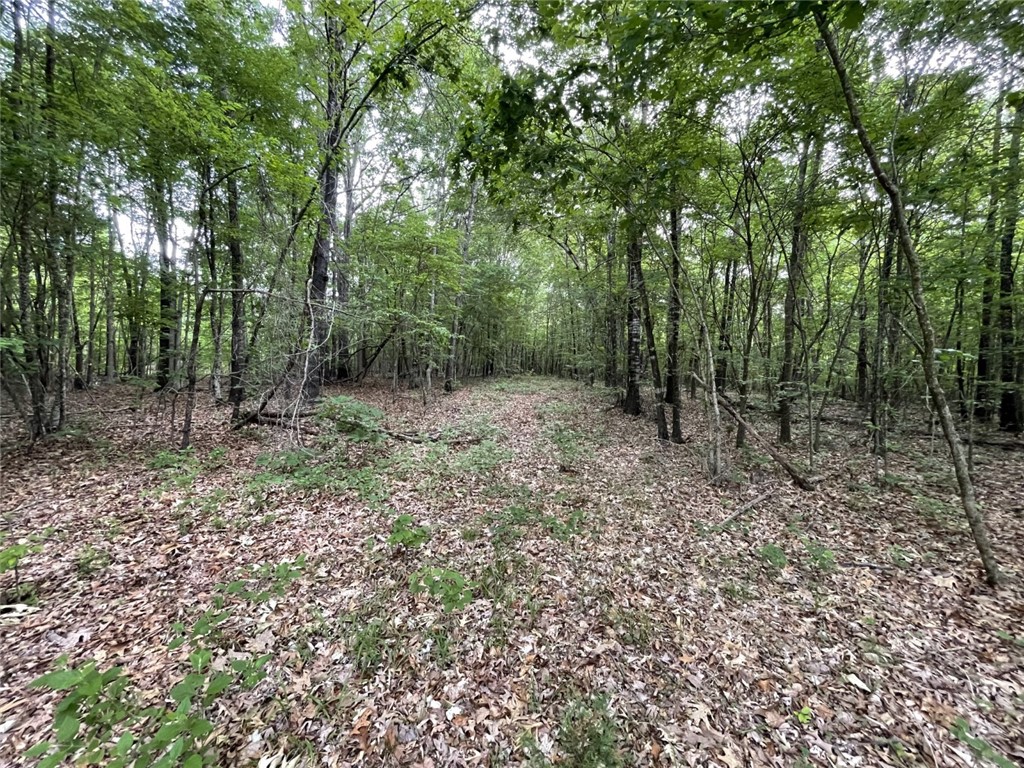 0 Bell Road Troy, SC 29848 - Photo 23 of 26