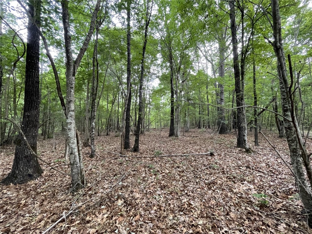 0 Bell Road Troy, SC 29848 - Photo 24 of 26