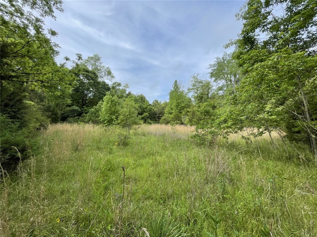0 Bell Road Troy, SC 29848 - Photo 25 of 26