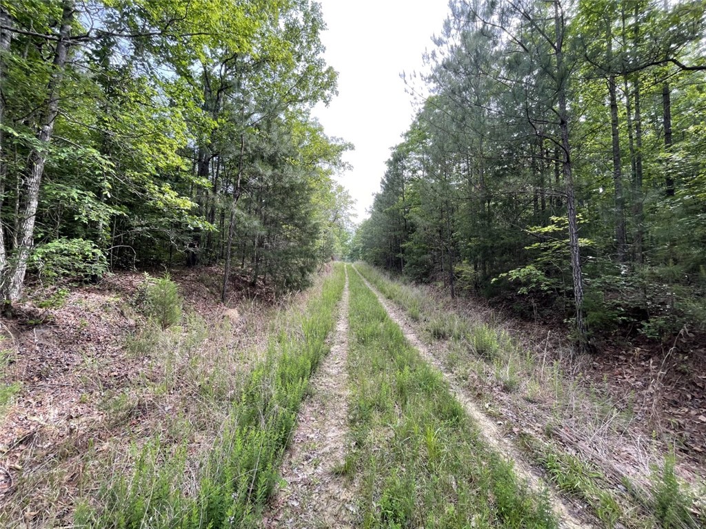 0 Bell Road Troy, SC 29848 - Photo 26 of 26