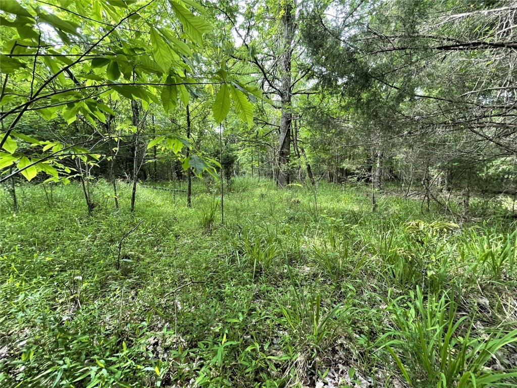 0 Bell Road Troy, SC 29848 - Photo 10 of 26