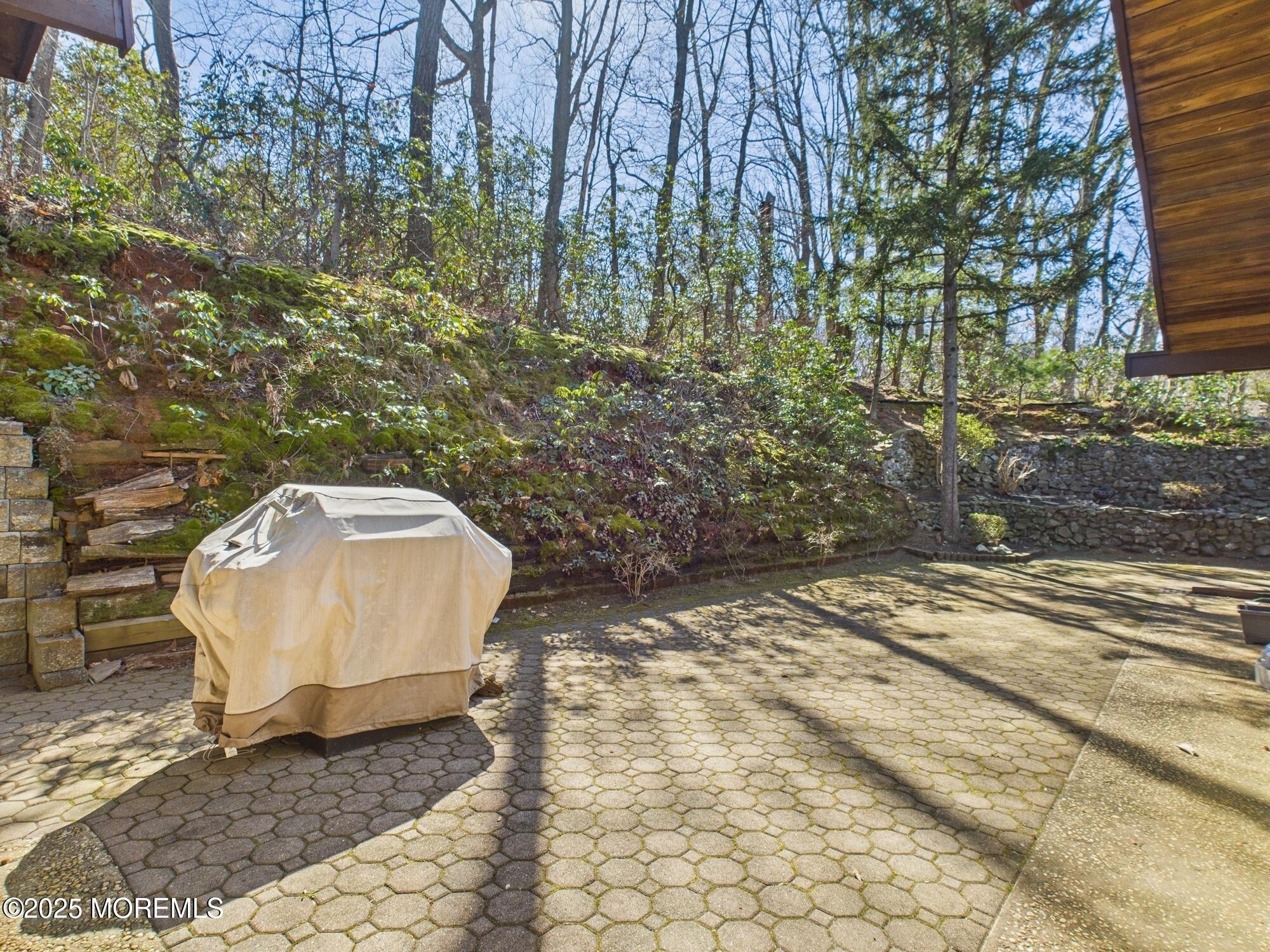 16 Belvidere Road Atlantic Highlands, NJ 07716 - Photo 38 of 51 Grounds