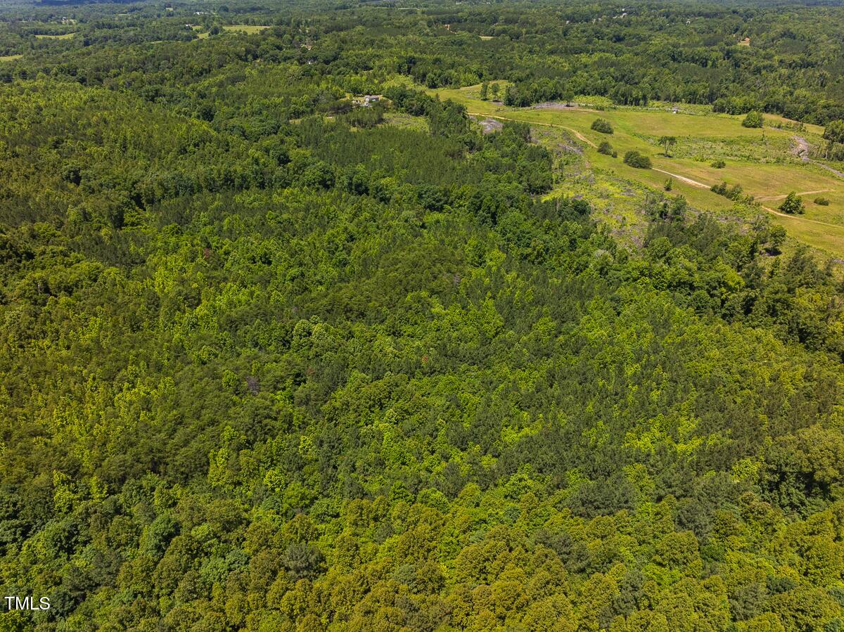 Lot-8-00 Wilson Road Providence, NC 27315 - Photo 40 of 45 Caswell Co. NC 16.55-Backwoods-Lot 8-40