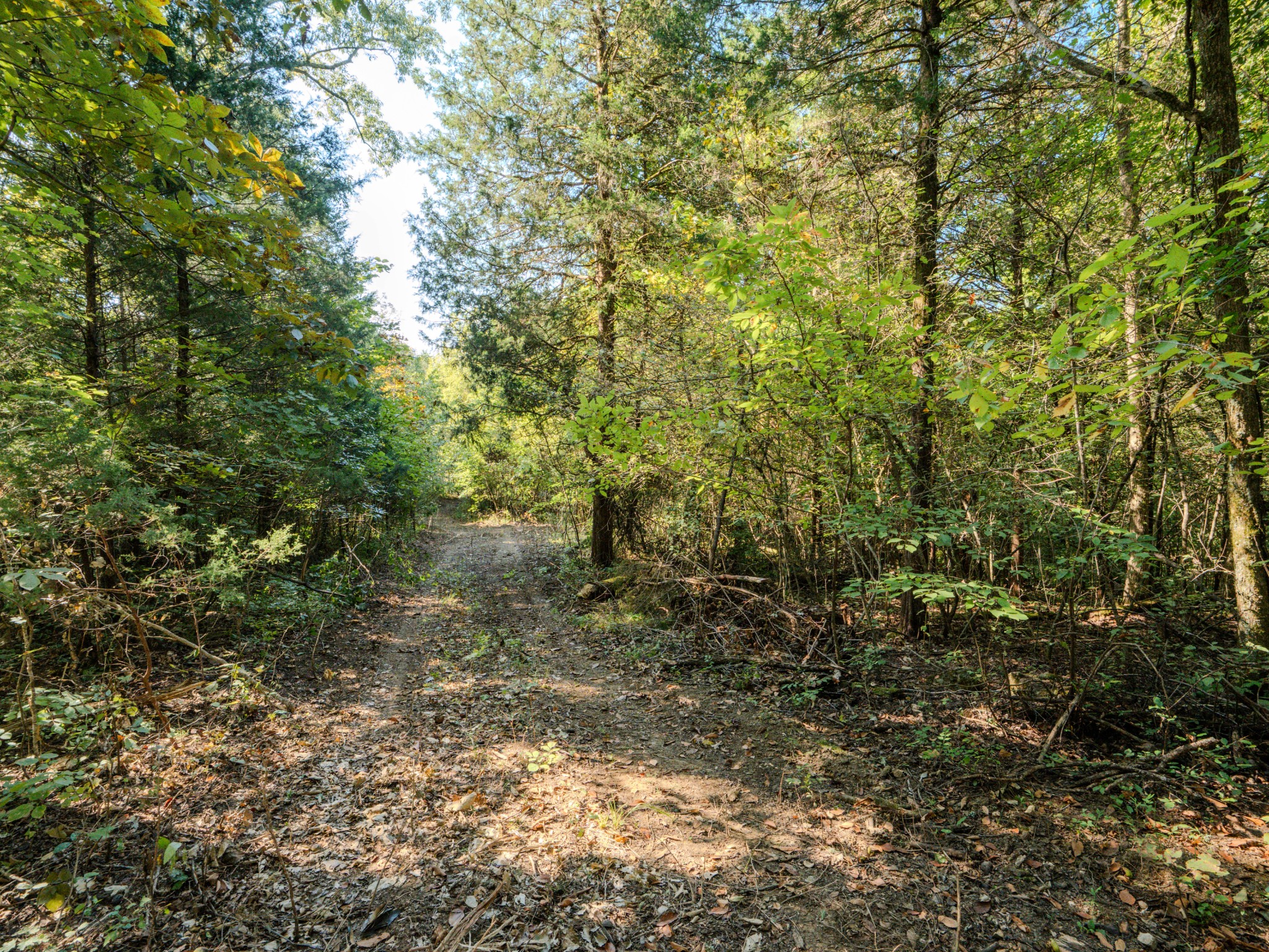 3644 Diana Ridge Road Pulaski, TN 38478 - Photo 20 of 45 Gallery Image 20