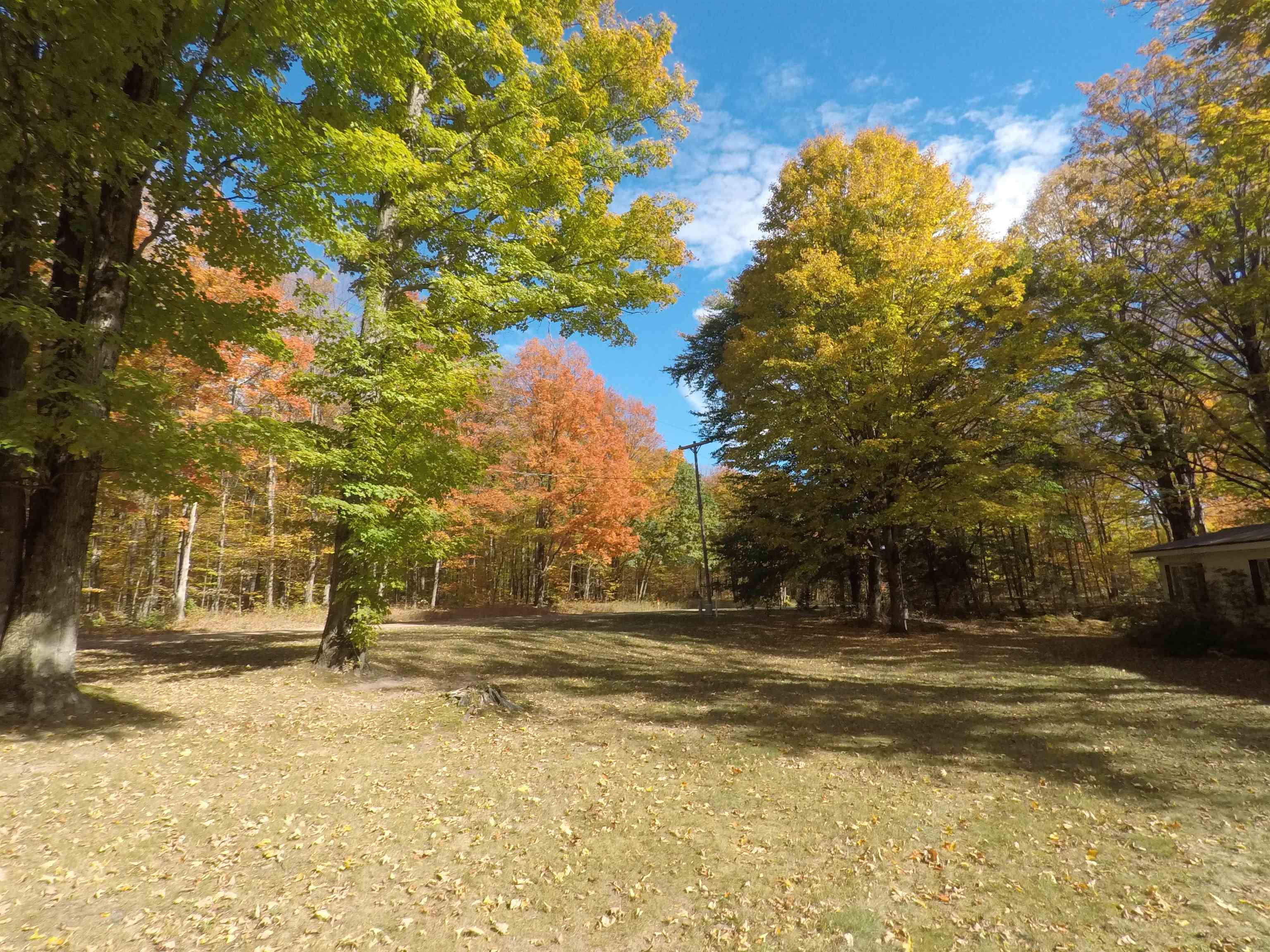 7841 West 28 Road Harrietta, MI 49638 - Photo 4 of 24
