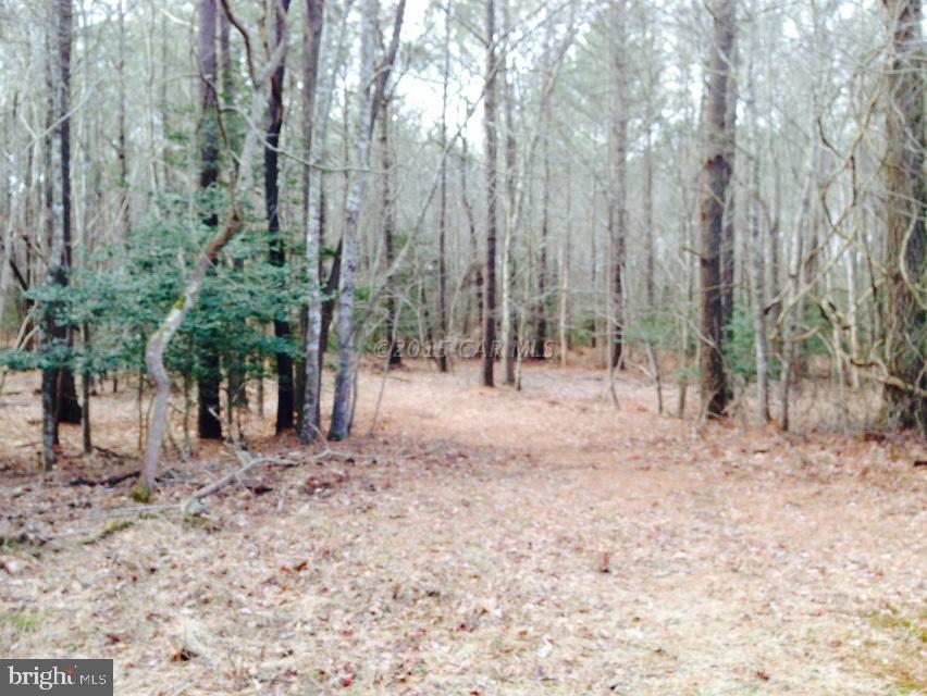6020 Snow Hill Road Girdletree, MD 21829 - Photo 17 of 29 Gallery Image 17