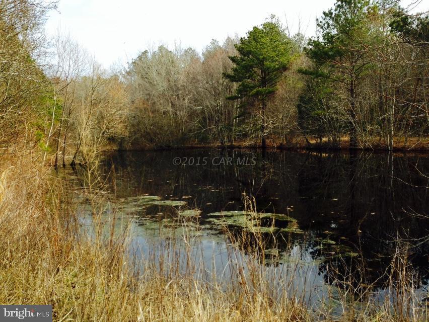 6020 Snow Hill Road Girdletree, MD 21829 - Photo 9 of 29 Gallery Image 9