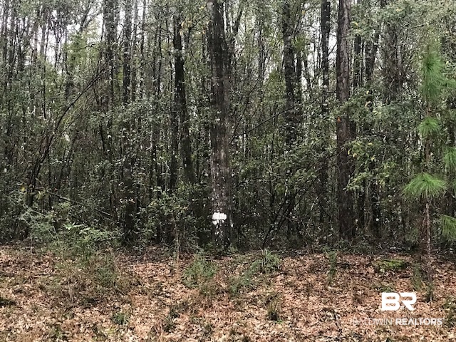 23588 Old Weekley Road Bay Minette, AL 36507 - Photo 27 of 30