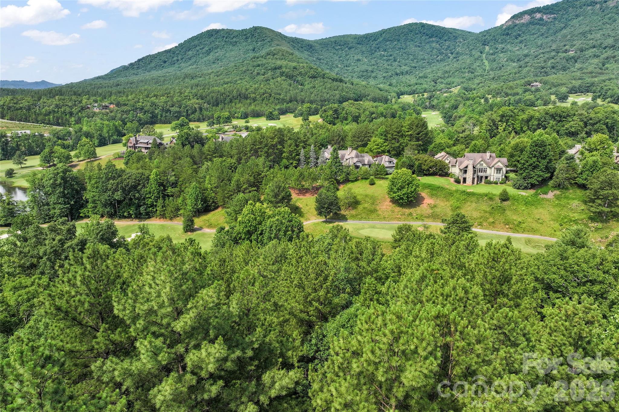 Lot 24 Monteith Pl Mill Spring Mill Spring, NC 28756 - Photo 5 of 24