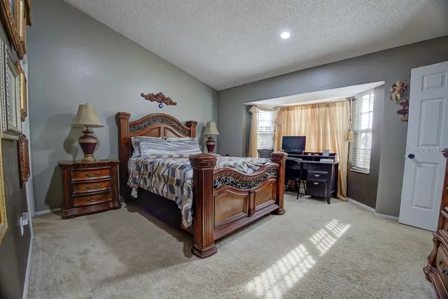 a view of a yard with plants and trees