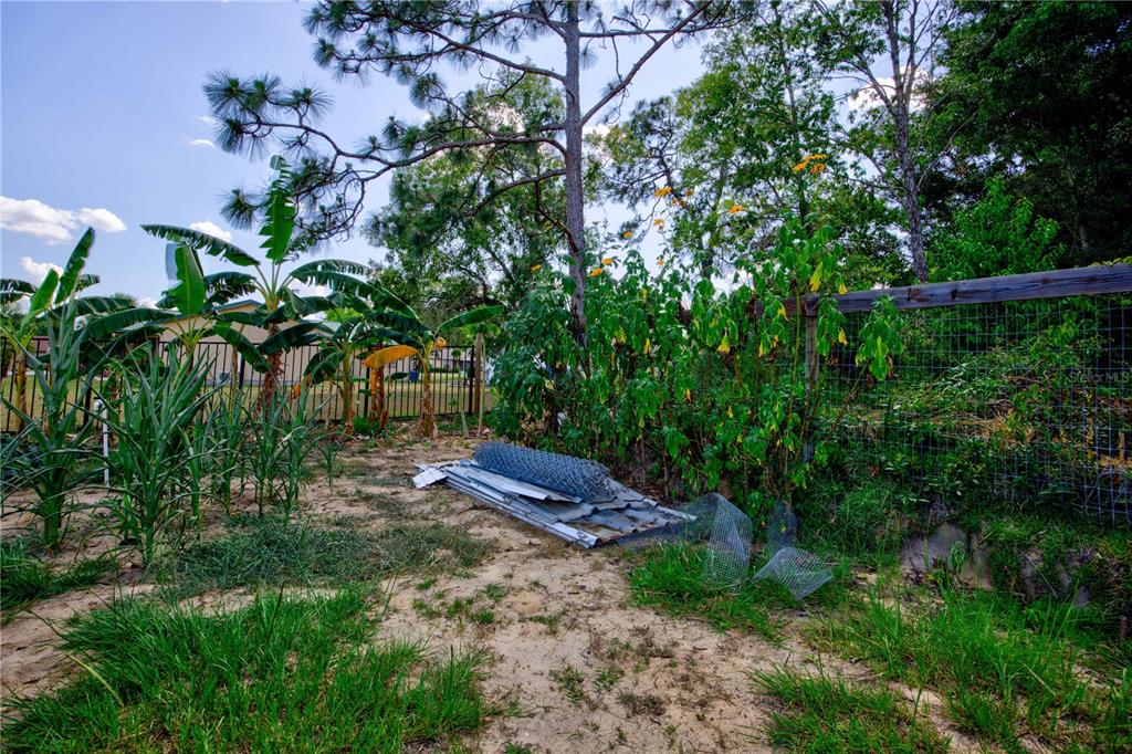 567 Silver Course Run Ocala, FL 34472 - Photo 64 of 95 a view of a garden with plants and trees
