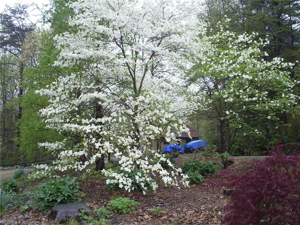 489 Tyro School Road Lexington, NC 27295 - Photo 12 of 12 Gallery Image 12